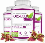 forskolin-active-no-farmacia-no-celeiro-em-infarmed-onde-comprar-no-site-do-fabricante